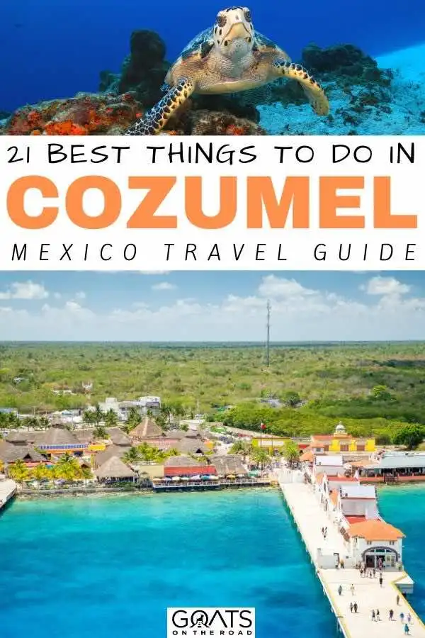 21 best things to do in Cozumel mexico travel guide - 21 Things To Do in Cozumel: Mexico&rsquo;s Top Island