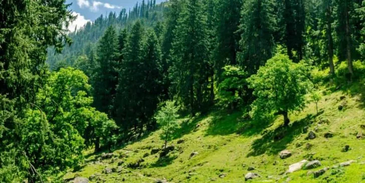 1578150011 728x365 - How to plan a super-tight budget trip to Kasol? [under Rs 5000]